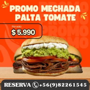 Craft Sándwich Mechada Palta & Tomate